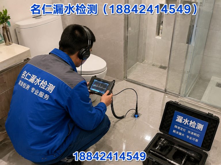 辽中区管道漏水检测展示图